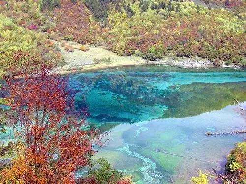 外地户口来郑州上学_升高中需要一年社保,交成灵活就业的可以吗? - 自由的百科全书